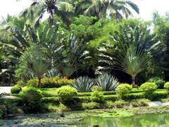 Ботанический сад в Синлуне